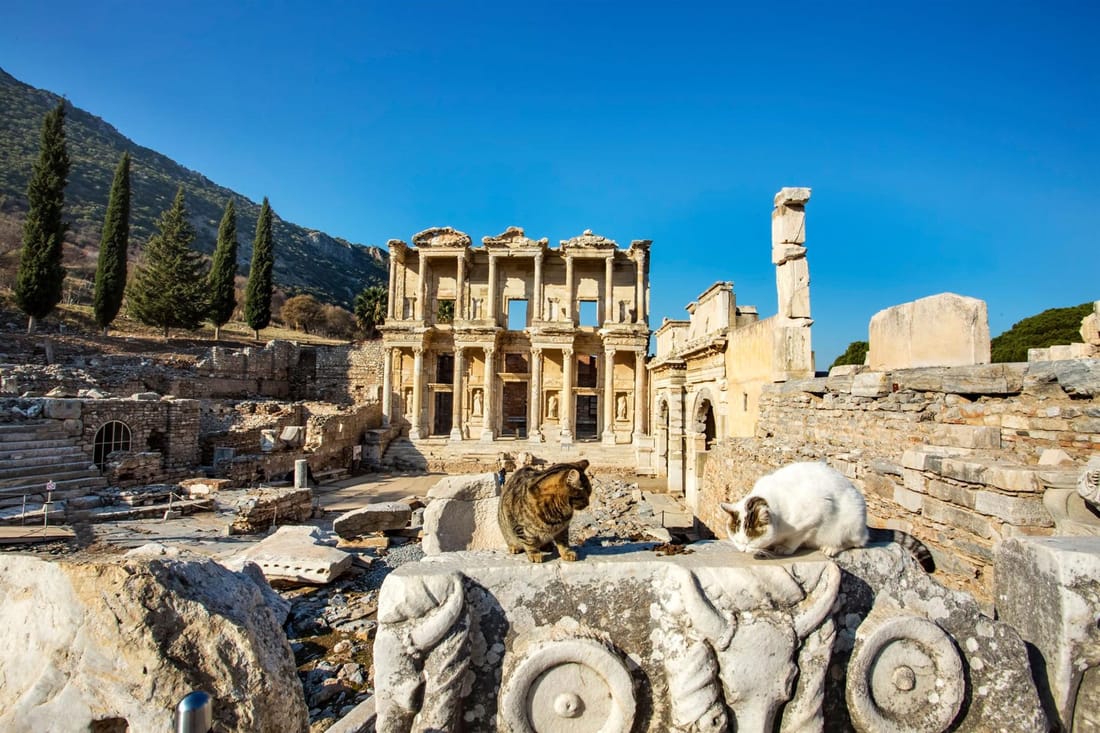 Cats resting in front of the Library of Celsus in Ephesus
